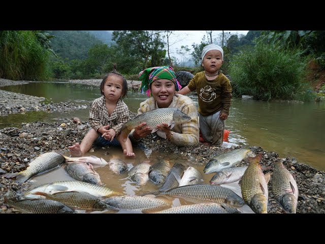 Single mother Catch giant river fish and bring them to the market to sell on rainy days