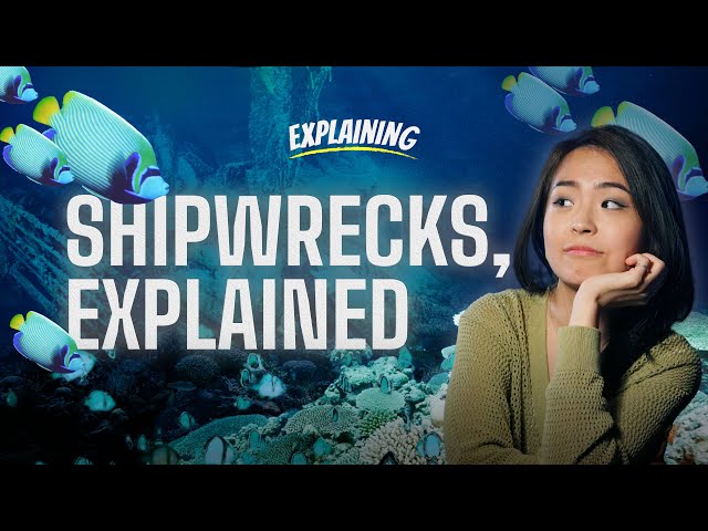 Are shipwrecks bad for the ocean? - ExplaiNing