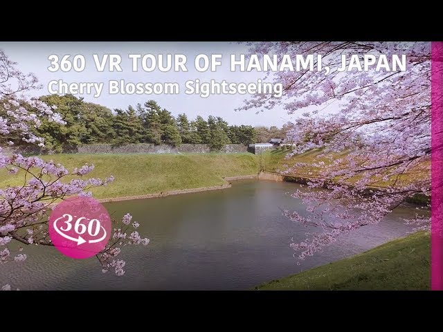 Japan Hanami tour in 360 – Cherry Blossom Sightseeing | Paracosma