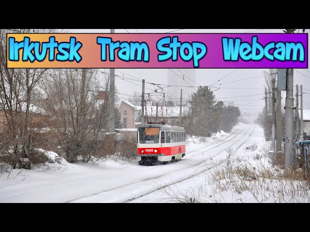 🚋🅻🅸🆅🅴🚋Irkutsk Siberia Tram Stop LIVE❄️Explore Siberia’s Frosty Streets in Real-Time Webcam🌨️KTM-5