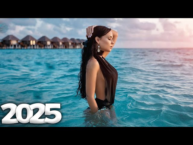 Alan Walker, Dua Lipa, Coldplay, Martin Garrix & Kygo, The Chainsmokers Style 🔥 Summer Vibes #213