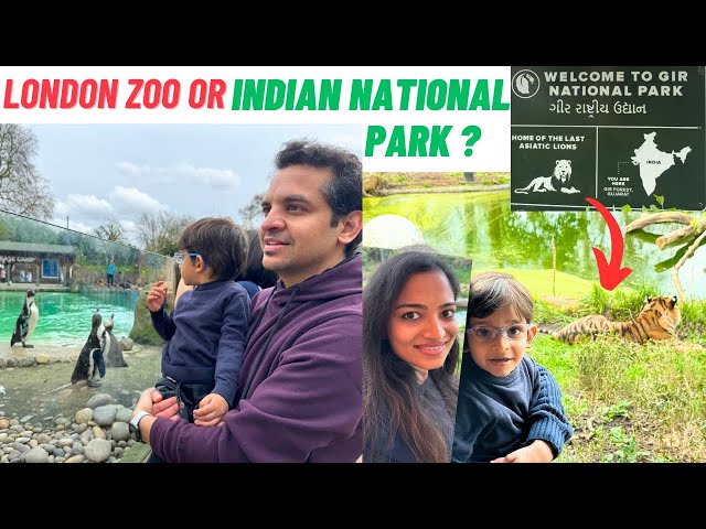 LONDON ZOO visit with our 3 year old | Things to do in London | Desi Couple in London