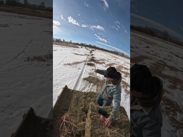 Cowboy surfing 🤠🏄‍♂️