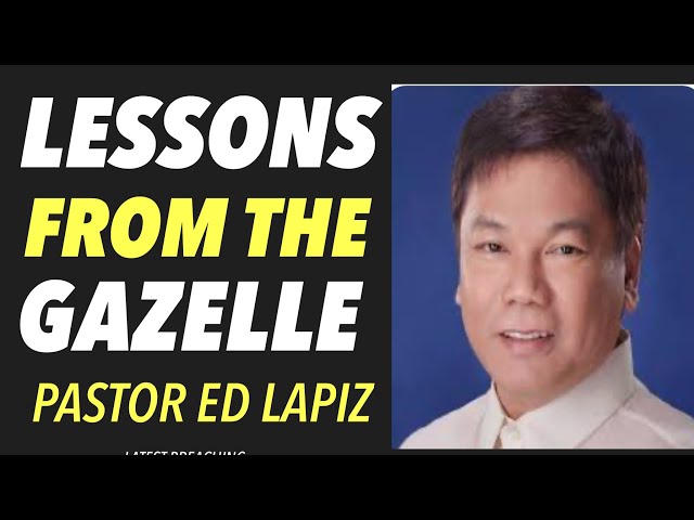 LESSONS FROM THE GAZELLE