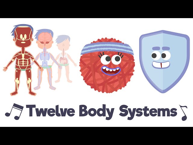 Twelve Body Systems Song