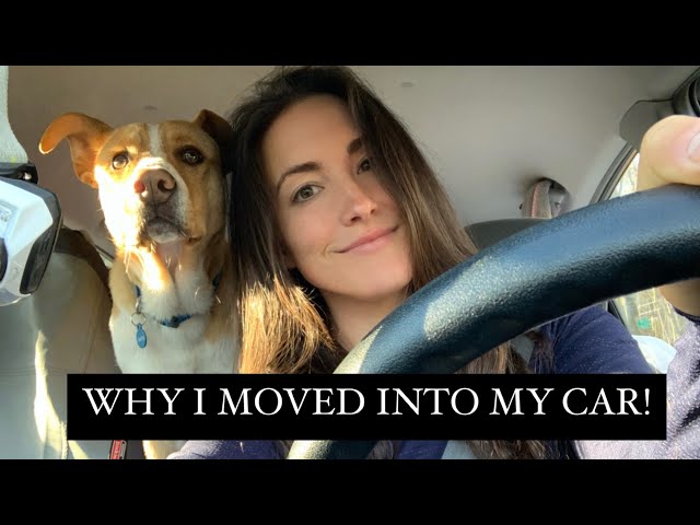 WHY I moved into my Prius & how I got here (my story)