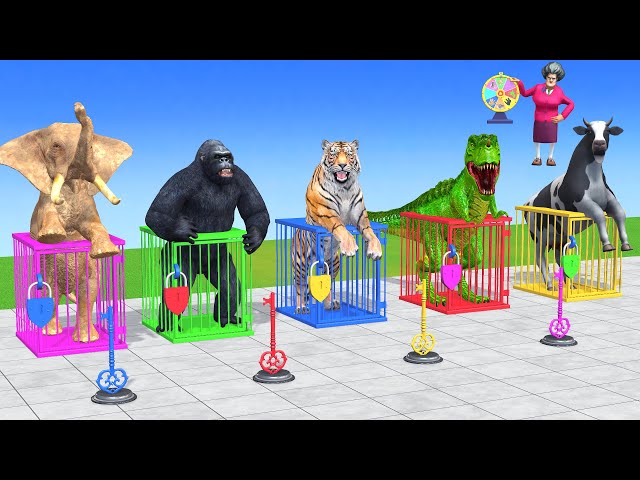 Long Slide Game With Cow Elephant Gorilla Hippopotamus Tiger - 3d Animal Game - Funny 3d Animals