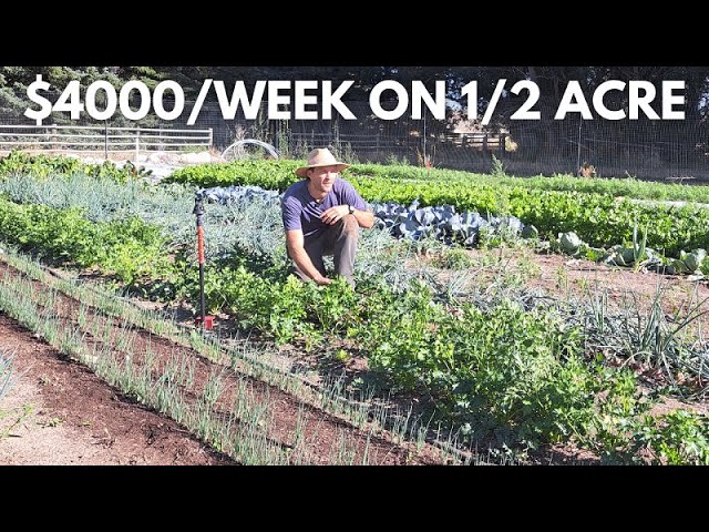 Small Farm Harvests that earn $4,000/week on 1/2 Acre of Land