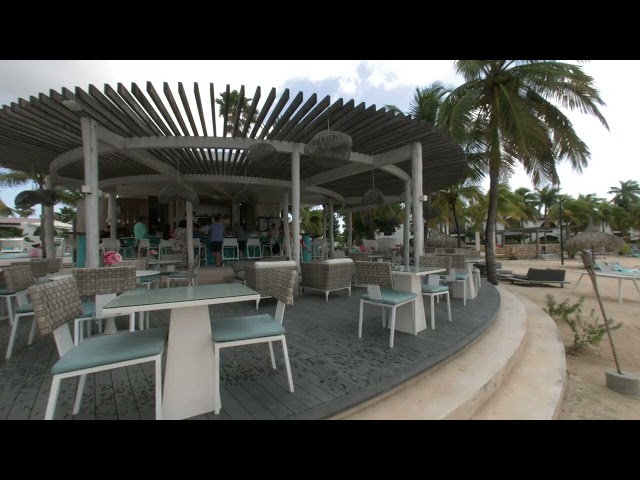 Immersive 8K 3D VR180 Tour: Palm Beach Bar at Bonaire’s Premier Dive Resort