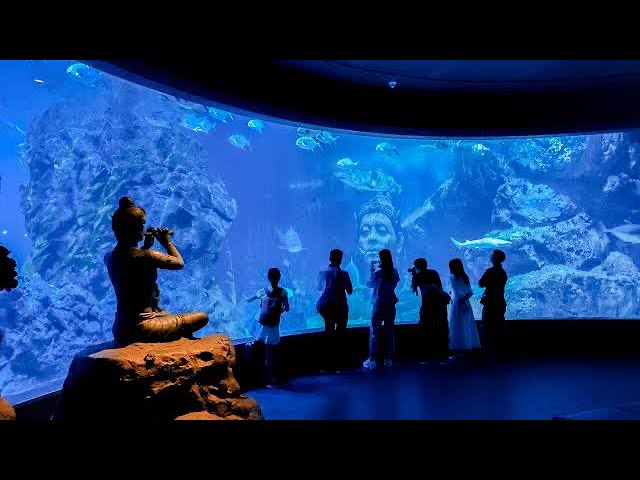 Unforgettable Experience at Sea Life Bangkok|WALKING IN SEA LIFE AQUARIUM BANGKOK THAILAND|