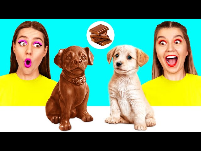 Real Food vs Chocolate Food Challenge | Funny Challenges by DaRaDa