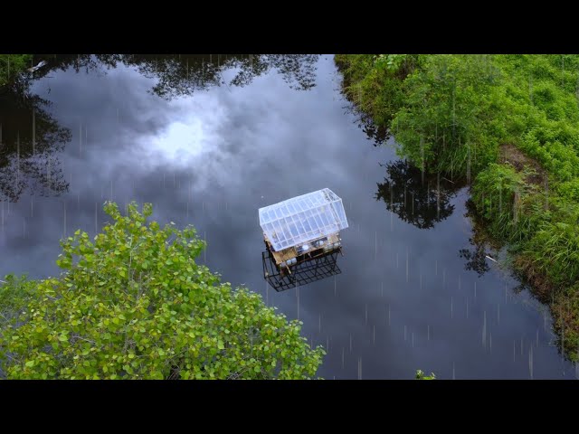 Tormented by heavy rain while renovating a plastic house shelter on a bamboo raft, catch and cook