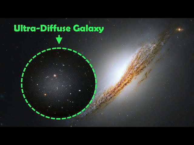 What Makes Ultra Diffuse Galaxies (UDGs) Unique?