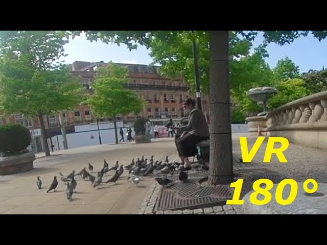 VR180° Finding 'The Bird woman' in Sheffield