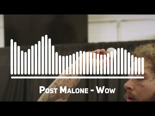 Post Malone - "Wow."