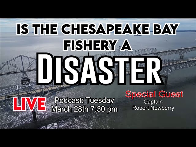 Is The Chesapeake Bay A Disaster?