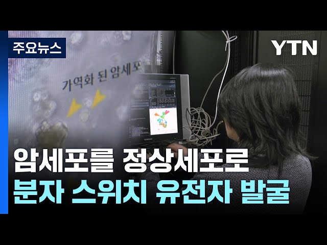 암세포를 정상세포로 되돌려...분자 스위치 발굴 컴퓨터 모델 / YTN