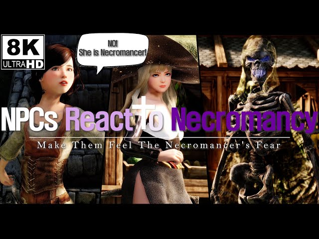 SKYRIM MOD I JaySerpa's NPCs React To Necromancy