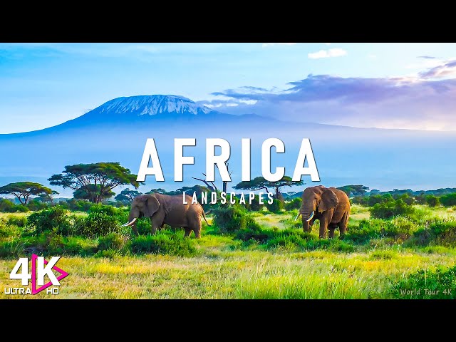 African Safari 4K - Scenic Wildlife Film With Relaxing Music