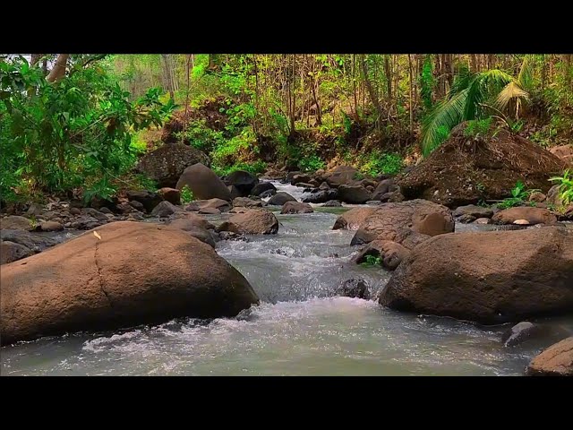 Healing Nature Ambience, Gurgling River, Gentle Stream & Nature Sounds for Spa & Mental Therapy