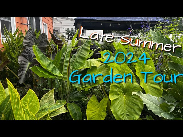 SUBTROPICAL Garden Tour! Summer 2024 | The Barefooted Gardener