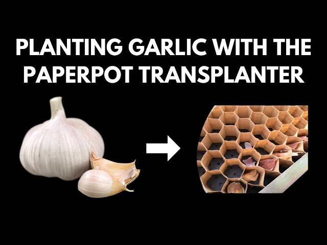 How To Plant Garlic with the Paperpot Transplanter