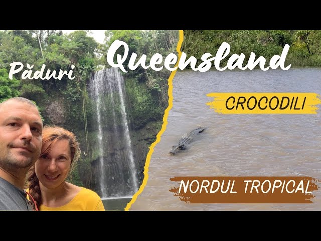 Tara Padurilor Tropicale / Queensland este Uimitor / Exploram Australia ep. 22