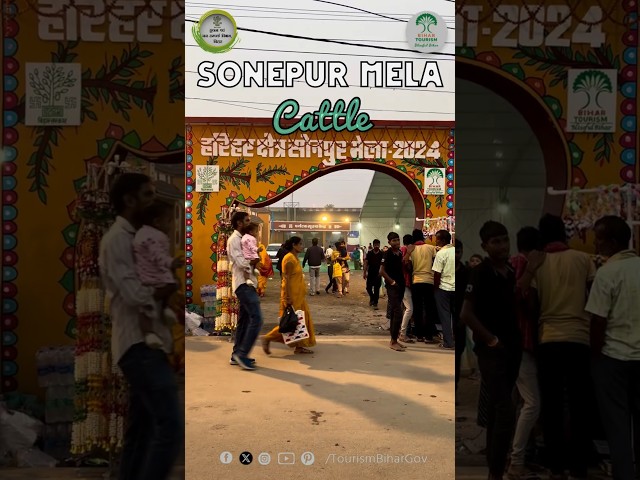 Sonepur Mela Bihar 2024 | Asia's largest cattle fair | सोनपुर मेला बिहार