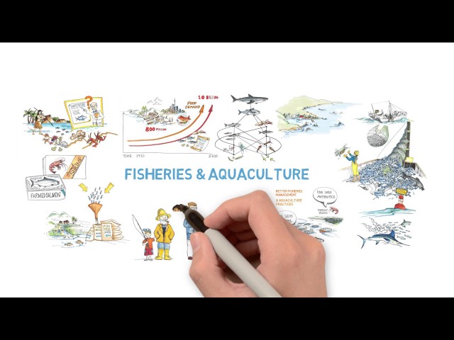 Fisheries & Aquaculture part 5