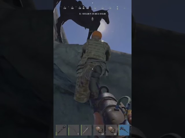 Rust guy went afk