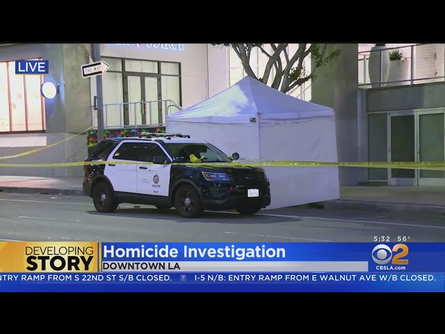 Man beaten to death on downtown LA street