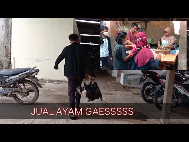 JANGAN MALU MEMULAI || HASILNYA 💯👍