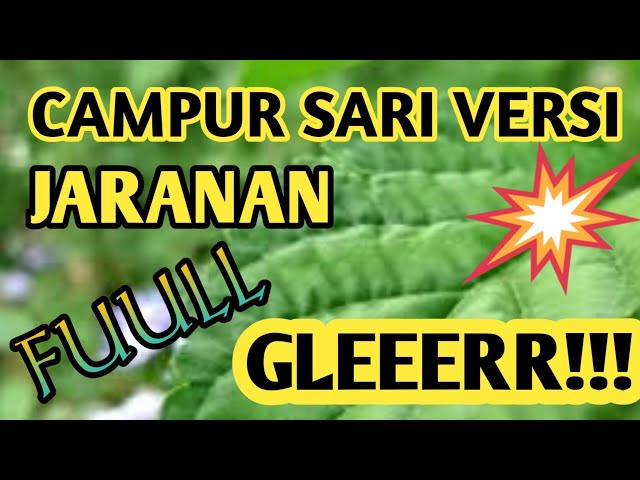 CAMPUR SARI VERSI JARANAN GLERRR !!!!