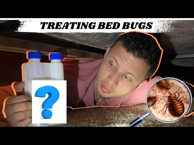 My Favorite Way To Treat Bed Bugs! POV