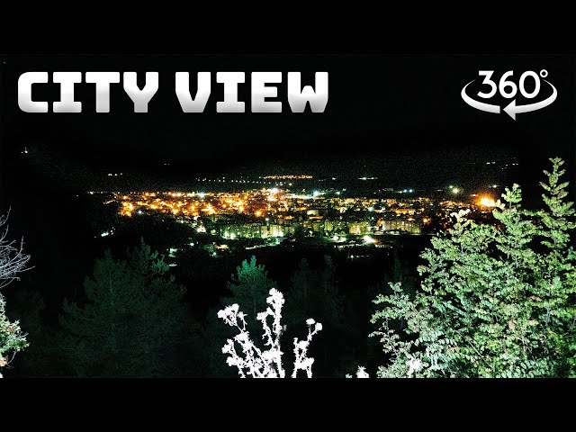 360° VR | Night City View From Mountain Forest with Cricket and Night Sounds in Background