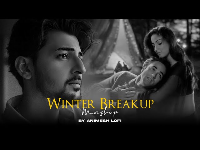 Winter Breakup Mashup | Dhadkan x Ik Tara | Broken Chillout | Animesh Lofi