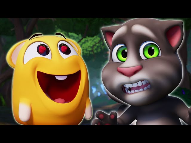 Talking Tom And The Magic Berry | Cartoons For Kids | HooplaKidz Shows