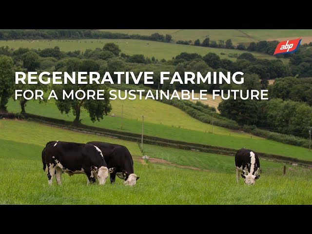 Regenerative farming for a more sustainable future | ABP Demonstration Farm