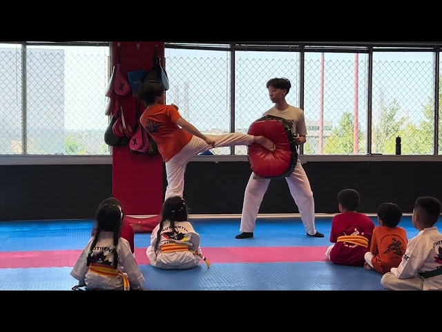 KIDS TAEKWONDO DAYLY EXCERSiSE INTERESTING TOWACH .