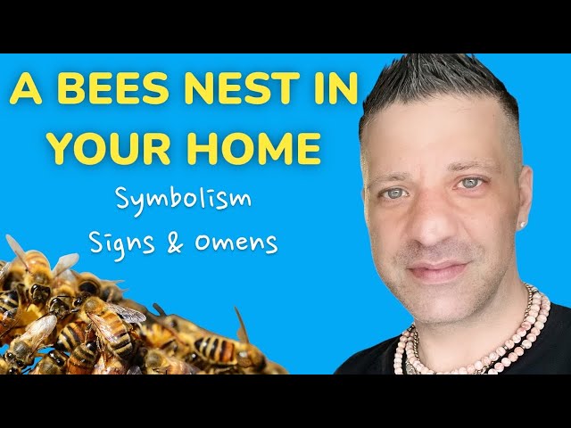 A Bees Nest In Your Home | Symbolism | Signs & Omens