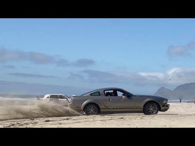 Mustang Stuck in Sand