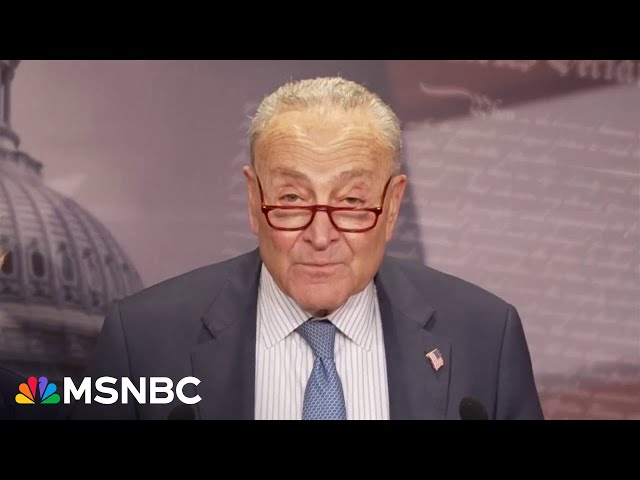 'Trump plunged the country into chaos': Schumer reacts to federal aid freeze