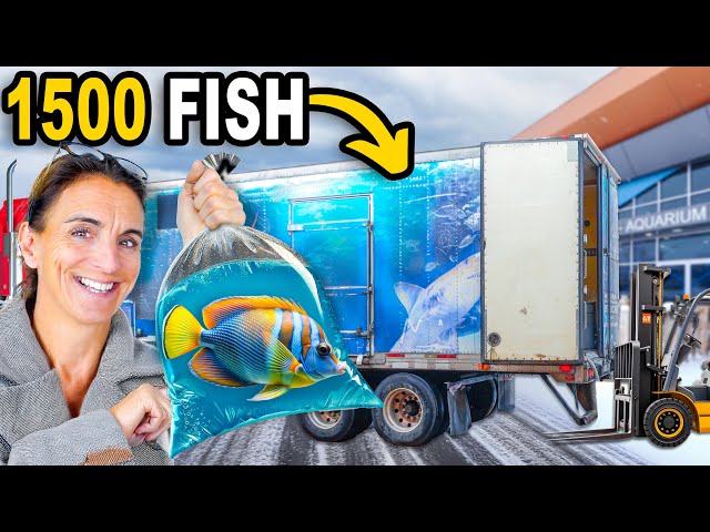 Unboxing 1,500 Fish For My New Aquarium! (part 1)