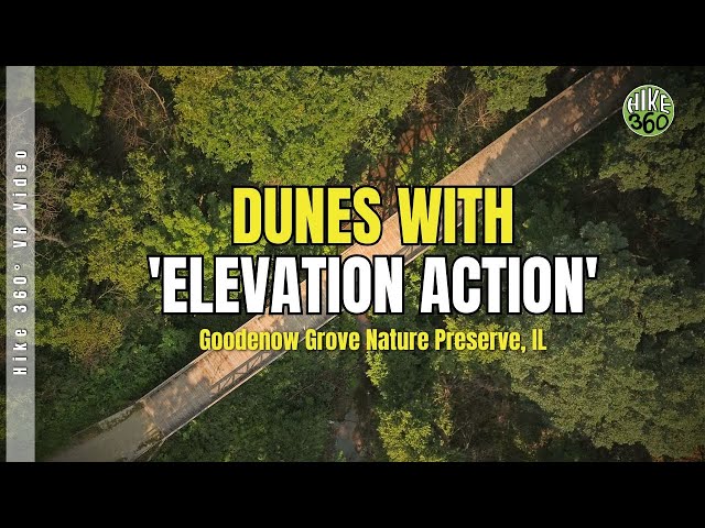 Goodenow Grove Nature Preserve, IL - Dunes with 'Elevation Action' (Hike 360° VR Video)