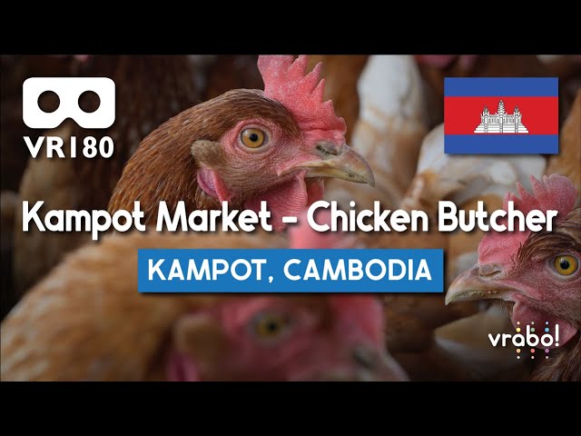 [VR180/5K] Kampot Market - Chicken Butcher (Kampot City, Kampot Province, Cambodia)