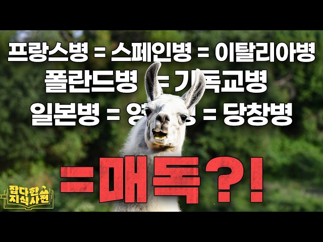 매독, 사람과 라마의 관계로 시작됐다?🦙