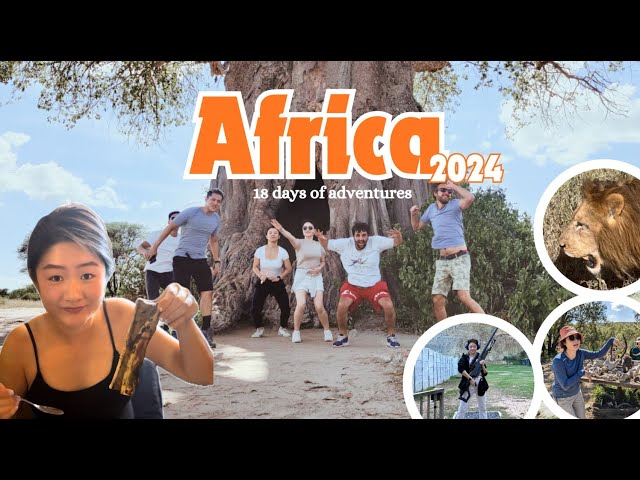 Travel Vlog to AFRICA | Safari, Gorilla Trekking, Hiking, Sunset, Business Class | 2024