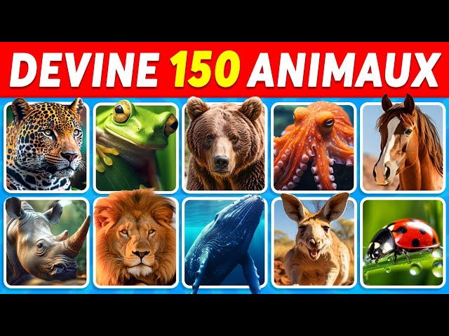 Devine 150 ANIMAUX en 3 secondes | Facile, Moyen, Difficile, Impossible