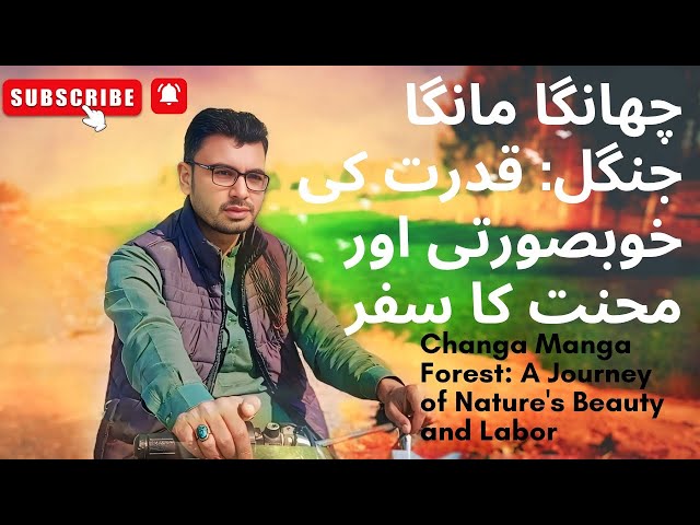 Changa Manga Jungle Qudrat ki Khobsurti Or Mehnat Ka Safar | Changa Manga Forest A Journey of Nature