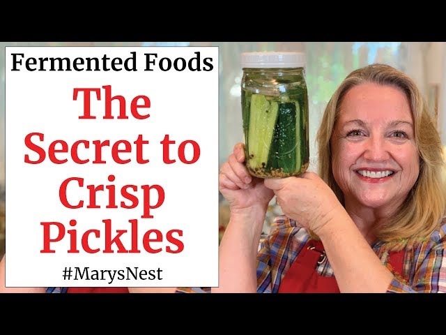 How to Make CRISP Lacto Fermented Pickles - A Probiotic Rich Food